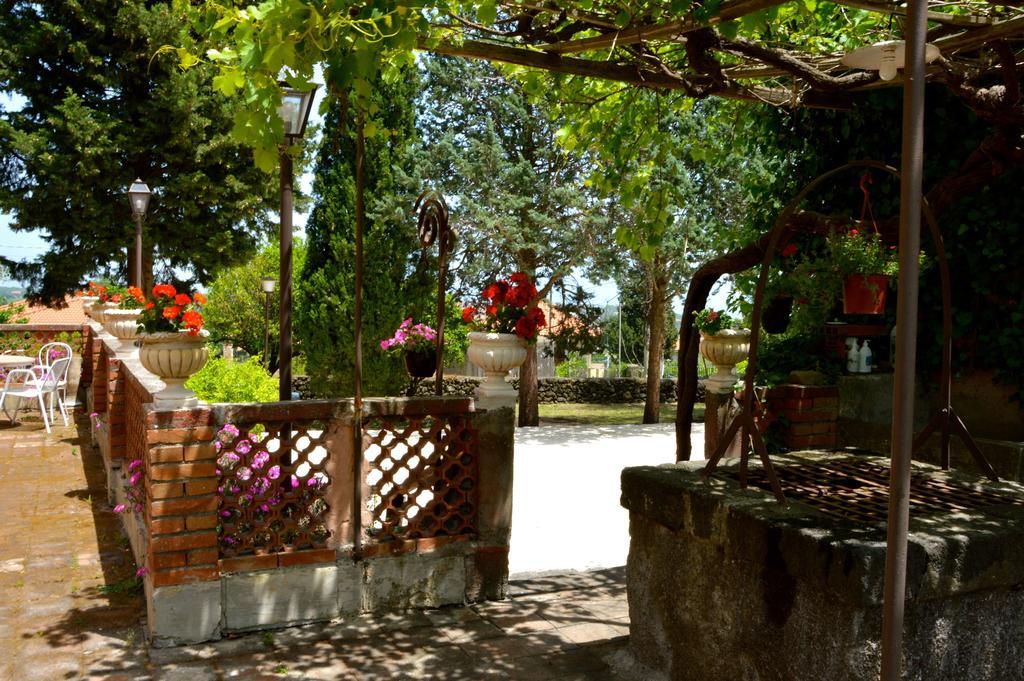 Villa Bonaccorso - Antica E Maestosa Villa Con Piscina Ai Piedi Dell'Etna ヴィアグランデ エクステリア 写真