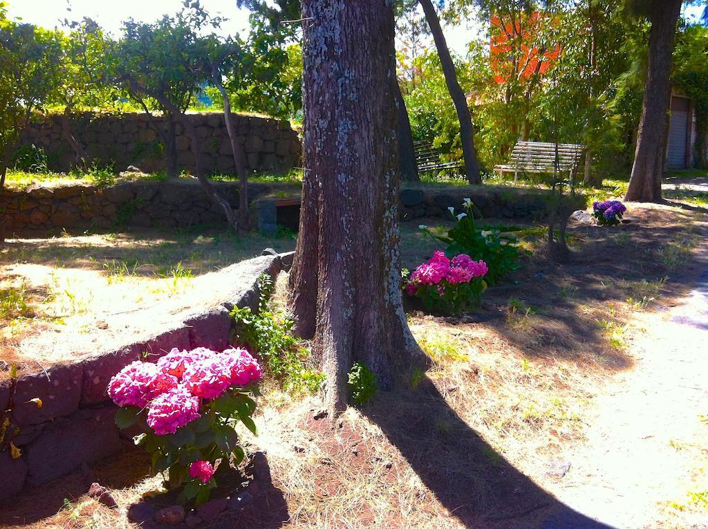 Villa Bonaccorso - Antica E Maestosa Villa Con Piscina Ai Piedi Dell'Etna ヴィアグランデ エクステリア 写真