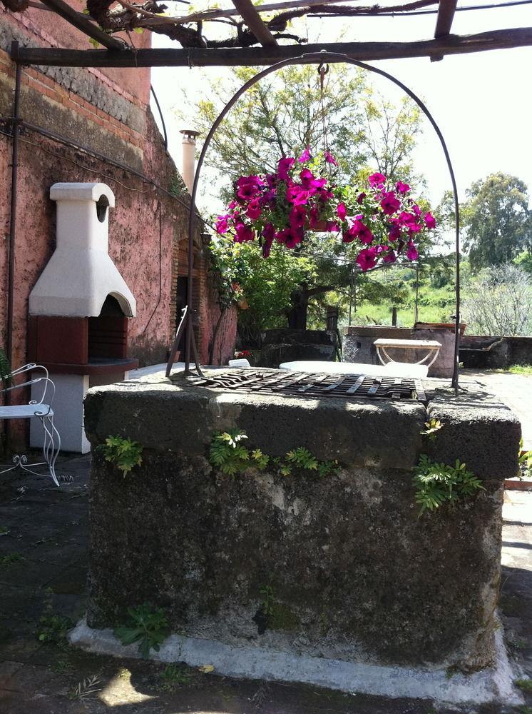 Villa Bonaccorso - Antica E Maestosa Villa Con Piscina Ai Piedi Dell'Etna ヴィアグランデ エクステリア 写真