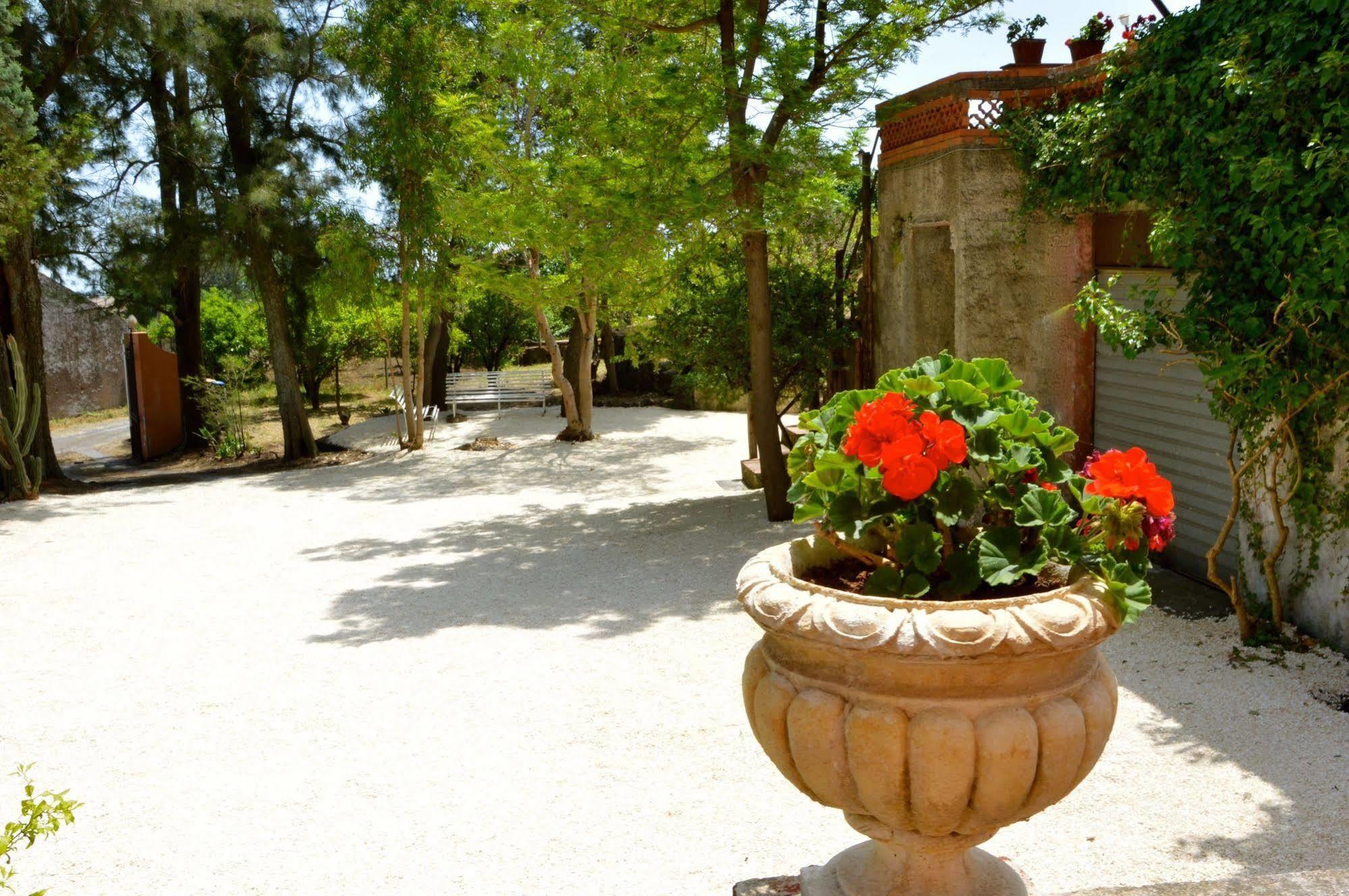 Villa Bonaccorso - Antica E Maestosa Villa Con Piscina Ai Piedi Dell'Etna ヴィアグランデ エクステリア 写真