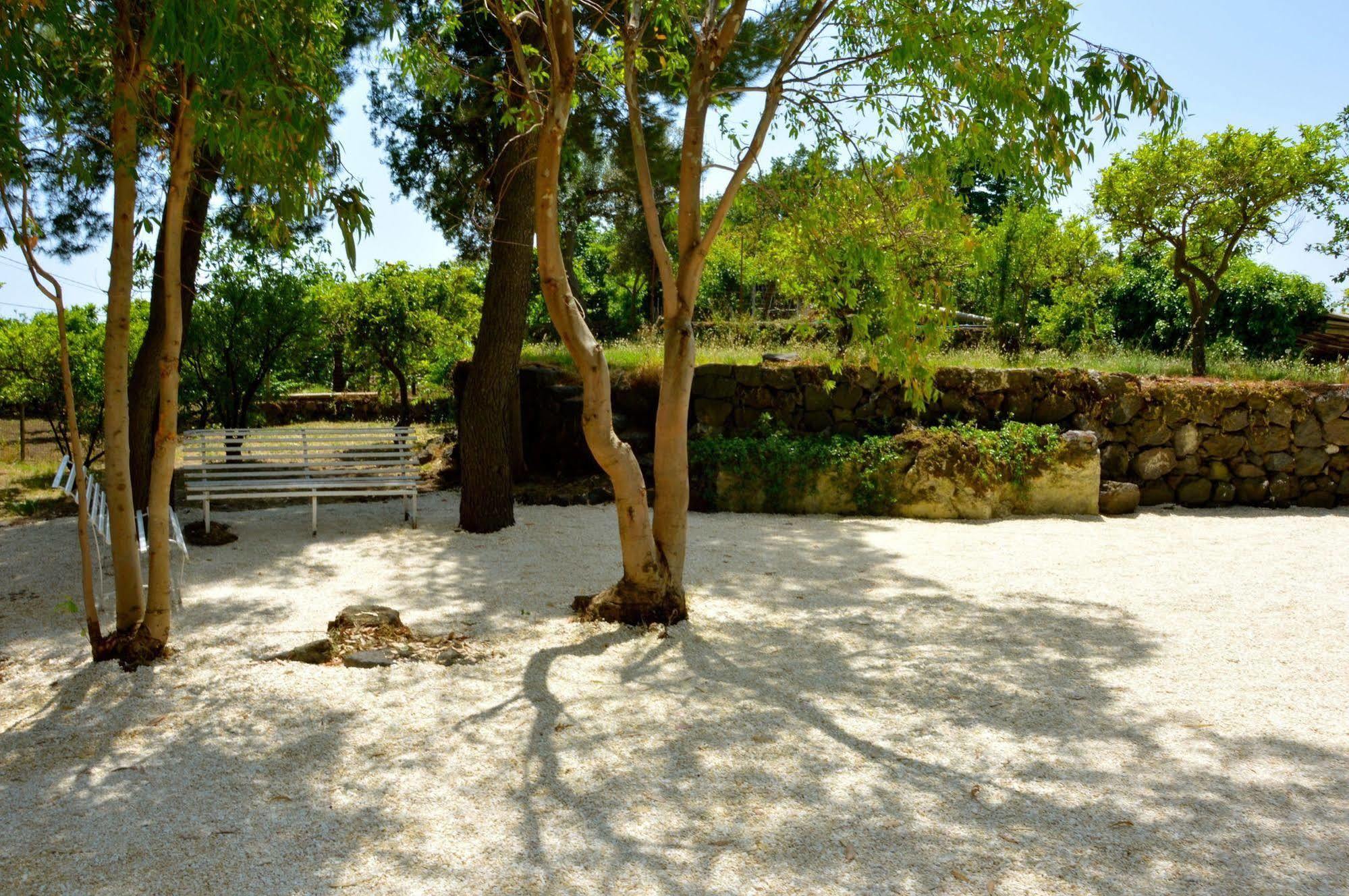 Villa Bonaccorso - Antica E Maestosa Villa Con Piscina Ai Piedi Dell'Etna ヴィアグランデ エクステリア 写真